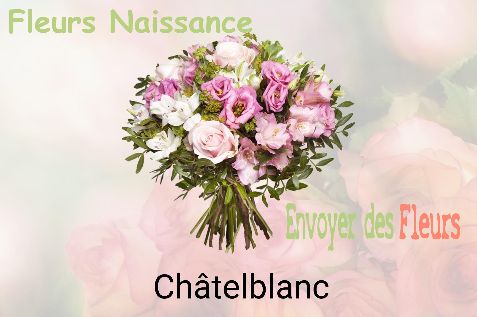 Bouquet de fleurs de naissance livré à Châtelblanc